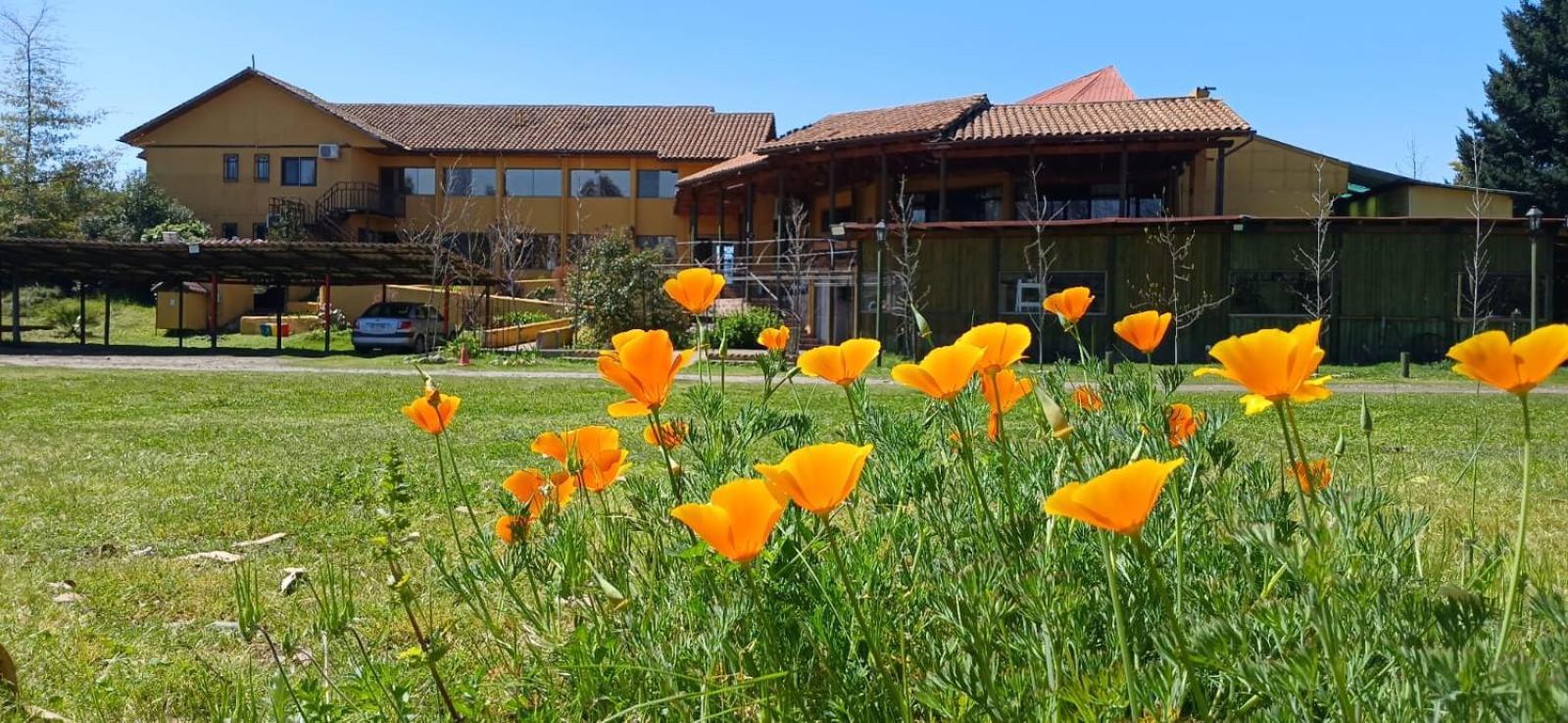 Hotel Ontiveros San Fernando Eksteriør bilde